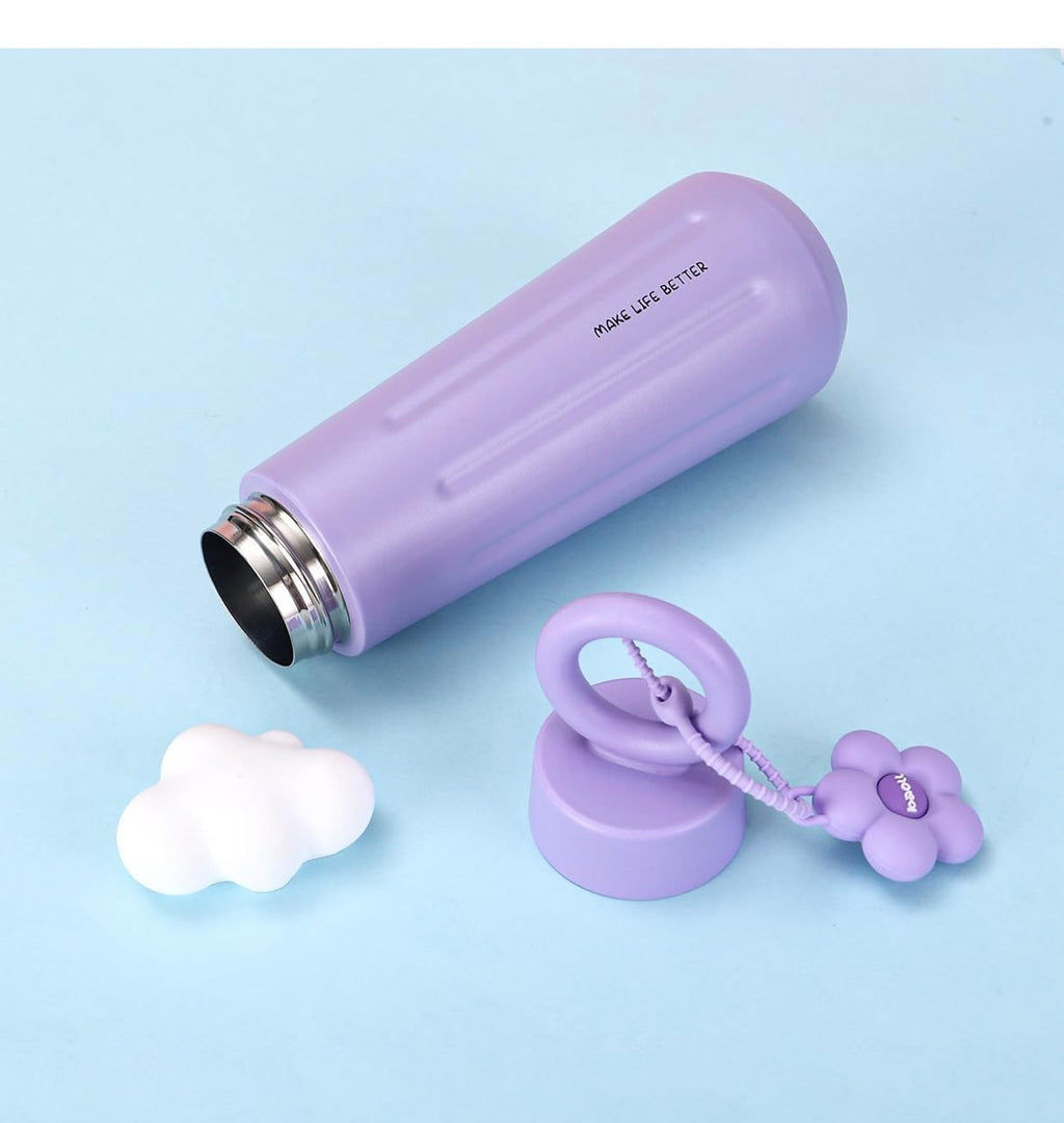 Insulated Stainless Steel Bottle